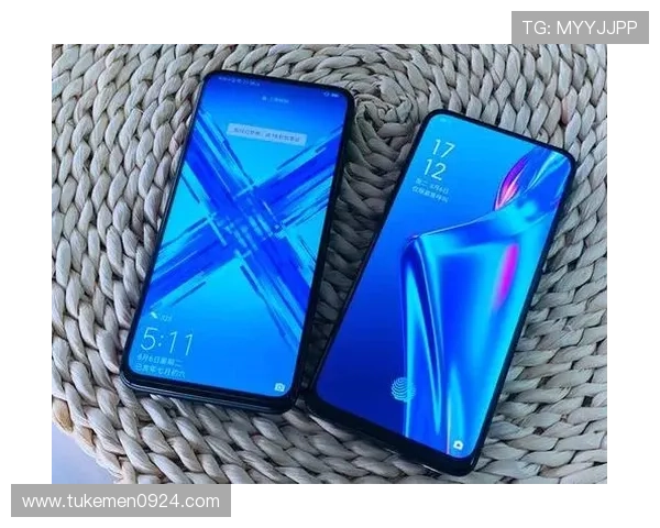 如何选择安全可靠的ag旗舰厅下载网站，避免病毒和恶意软件的实用建议