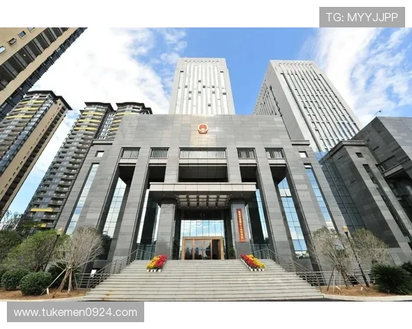 DG视讯中国区官方技术支持与服务体系优化方案全方位解读与用户指南
